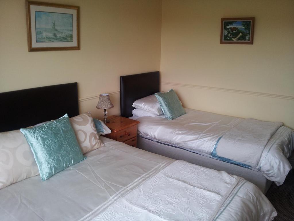 Tir Na Nog B&B Cashel  Luaran gambar