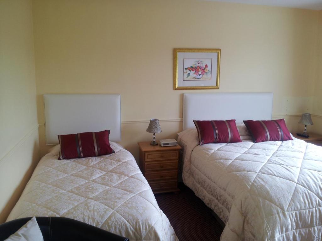 Tir Na Nog B&B Cashel  Luaran gambar