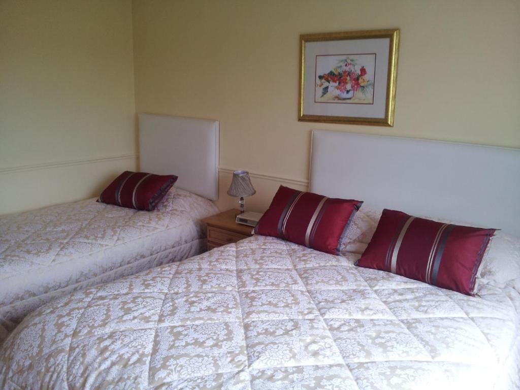 Tir Na Nog B&B Cashel  Luaran gambar